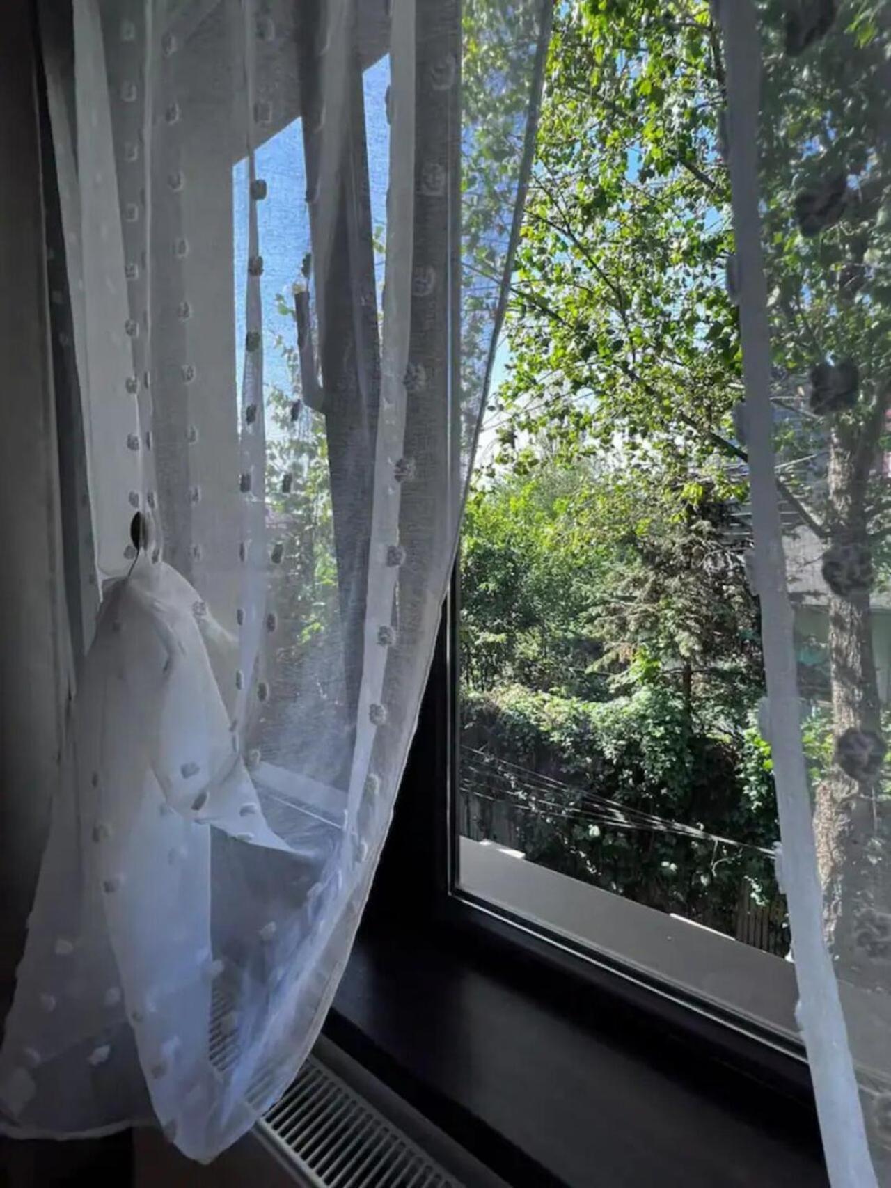 Vila Luminoasa Cu Curte Privata Букурещ Екстериор снимка